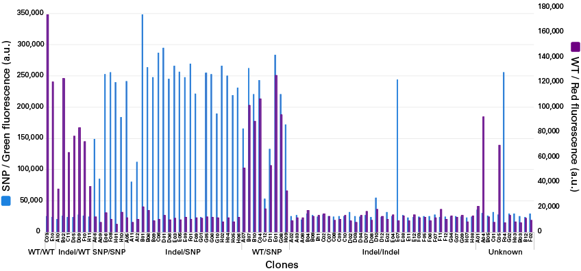 Beta-tester data: successful identification of heterozygous edited clones