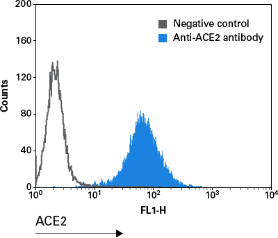 Analysis of ACE2 expression by flow cytometry