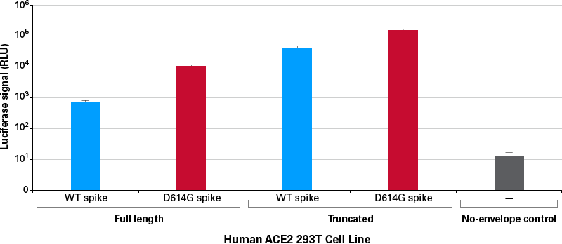 Transduction of Human ACE2 293T Cell Line with SARS-CoV-2 pseudoviruses encoding luciferase