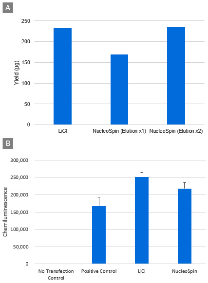 Effect of different RNA purification methods on RNA yield and protein expression.