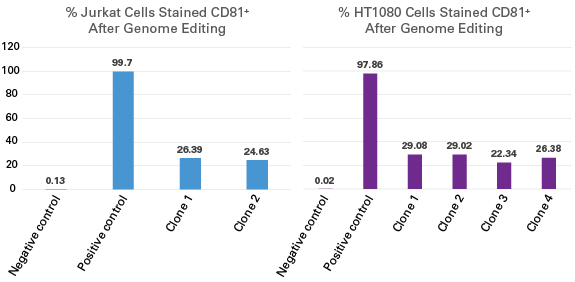 Either Jurkat or HT1080 cells were first transduced with LVX-hyg-CD81-sgRNA and then selected for stable integration using hygromycin