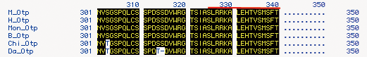 Alignment of the C-terminal amino acid sequences of several homologs of Otp