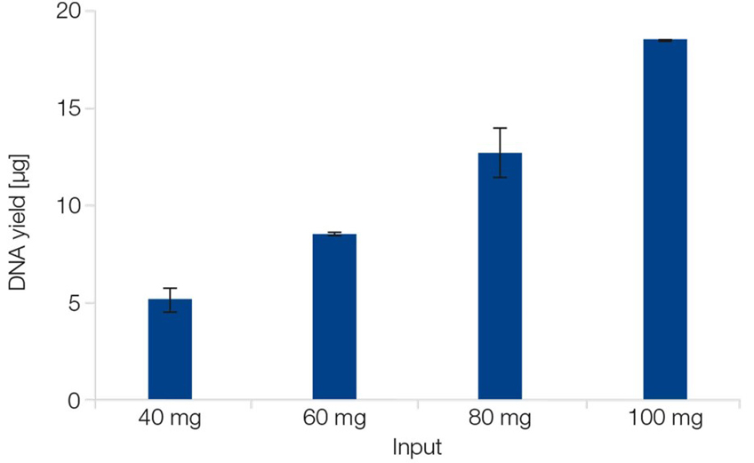 High DNA yields from yeast sample inputs up to 100 mg
