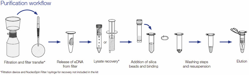 Sample preparation workflow for NucleoSpin eDNA Water