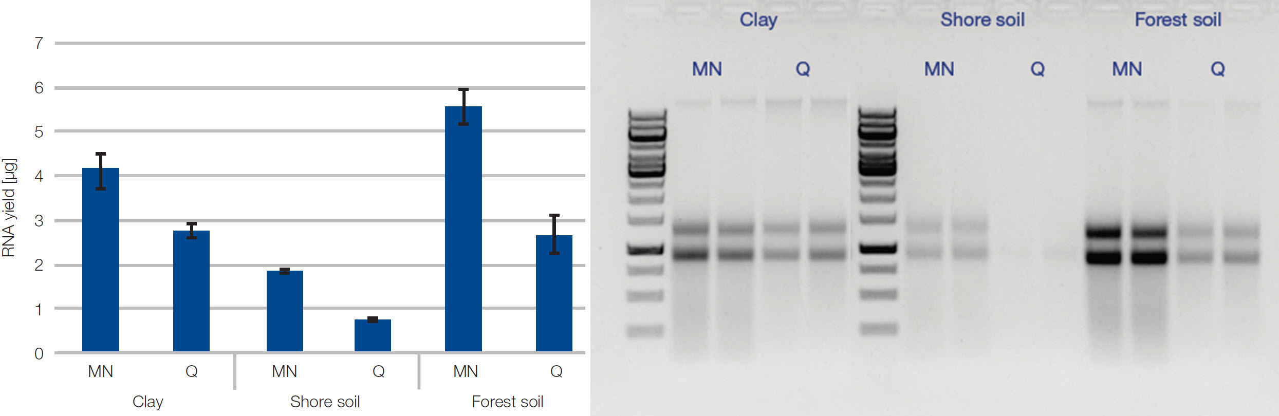 High RNA yields with NucleoBond RNA Soil