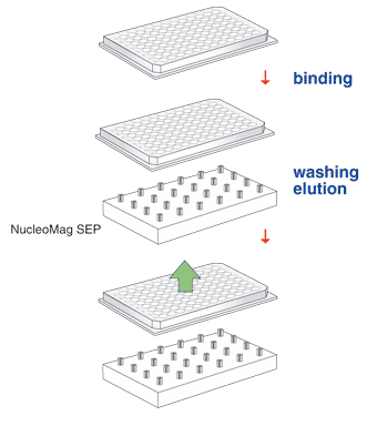 NucleoMag technology can be easily adapted to common laboratory automation platforms