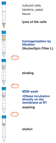 The NucleoSpin RNA L procedure