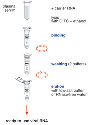 NucleoSpin RNA Virus procedure