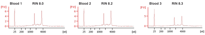 High-quality RNA with NucleoSpin 8 RNA Blood