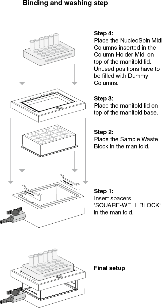 NucleoSpin Plasma Midi procedure: binding and washing step