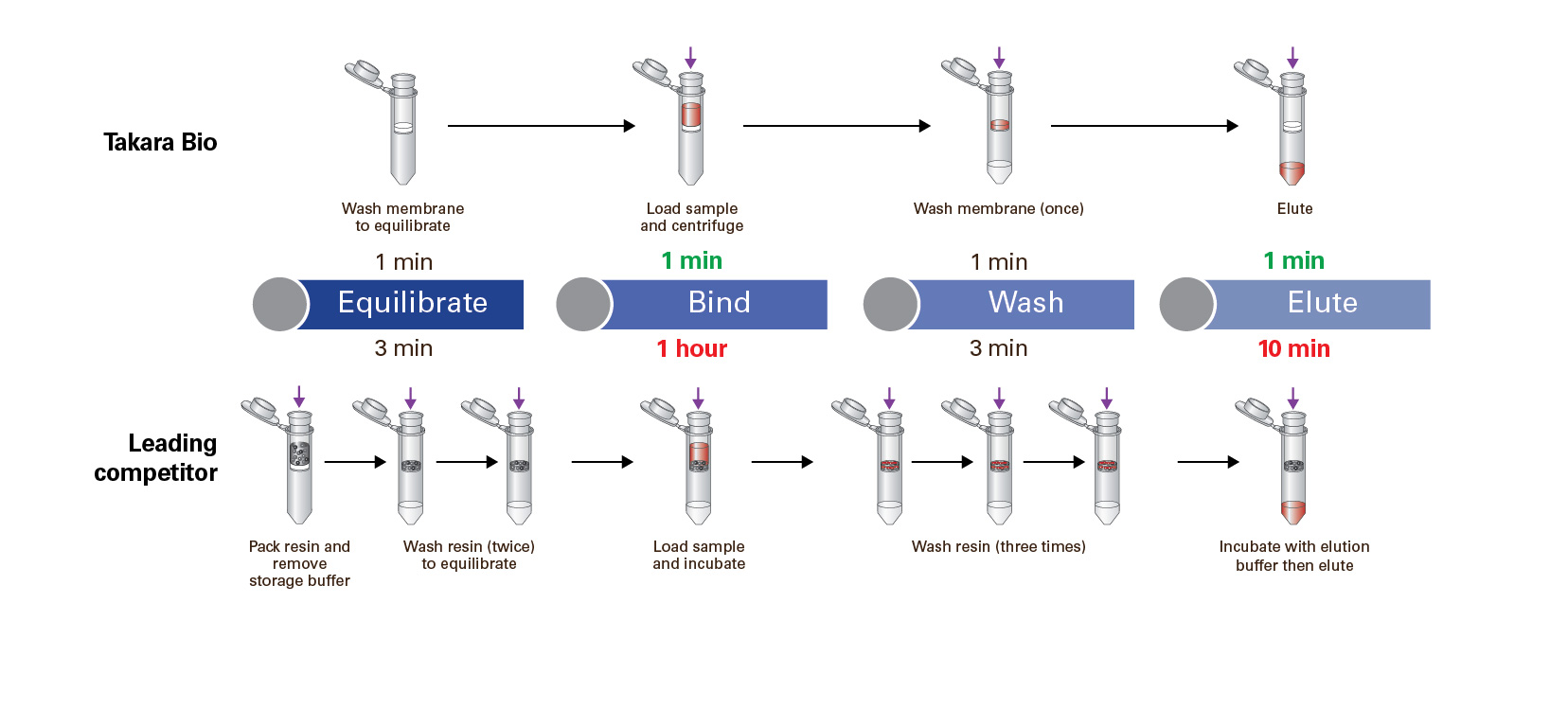 Comparison of Capturem IP & Co-IP Kit workflow to that of a leading competitor