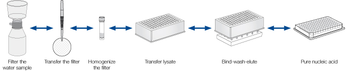 Overview of NucleoMag DNA/RNA Water protocol for manual processing of 96 samples using NucleoMag SEP