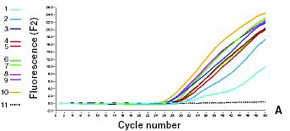 Achieve the highest sensitivities for DNA purification from dilute samples
