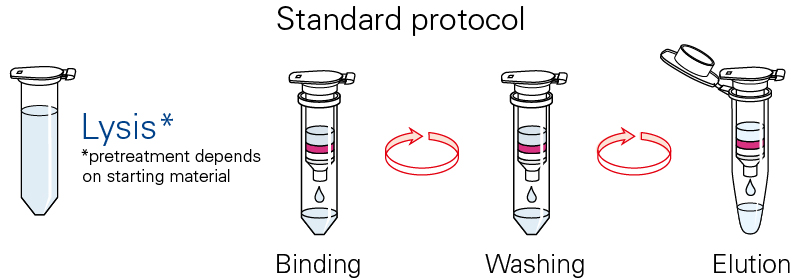 NucleoSpin VET standard protocol