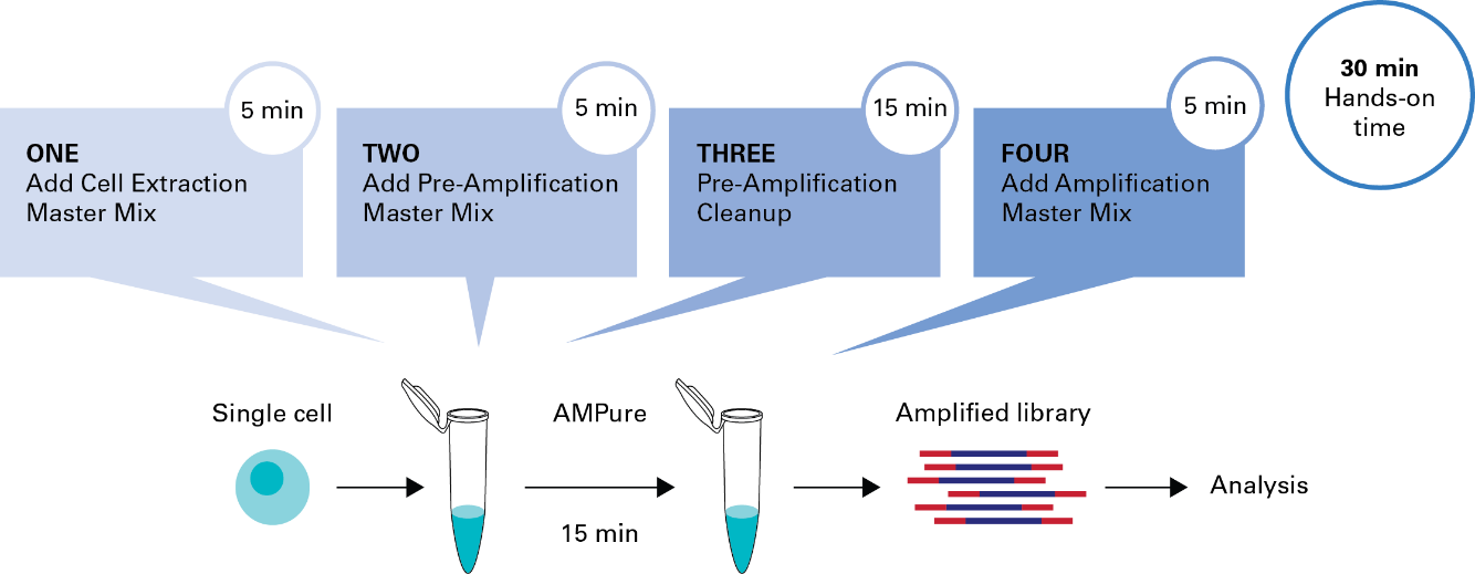 PicoPLEX Gold Single Cell DNA-Seq Kit workflow