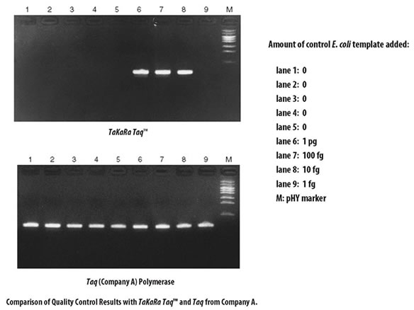 Quality control results for Takara Taq DNA Polymerase and a Taq enzyme from Company A