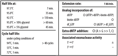 Properties and Characteristics of Takara Taq DNA Polymerase 