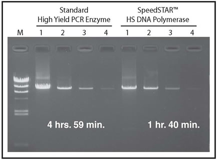 Amplification of an 8.5 kb Human Genomic DNA Fragment using a Standard High Yield Polymerase and SpeedSTAR HS DNA Polymerase