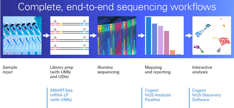 SMART-Seq mRNA LP (with UMIs) workflow