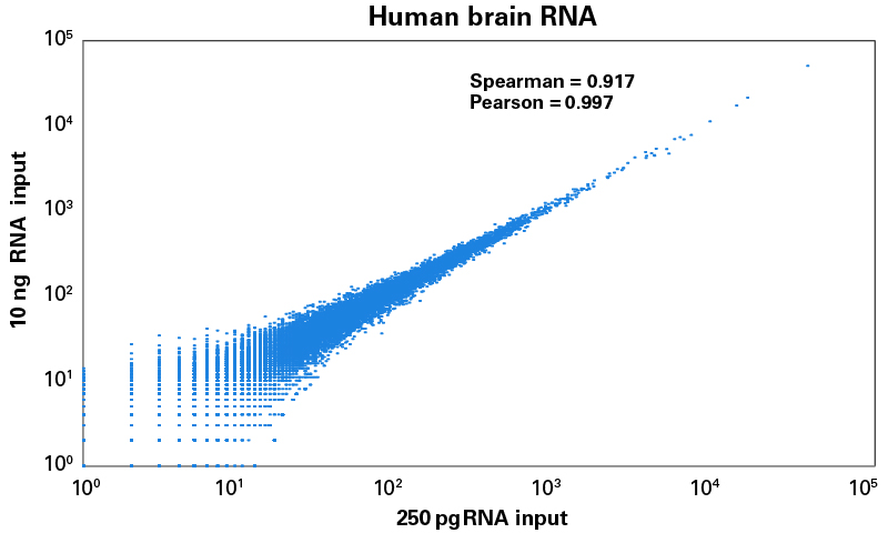 Transcript expression correlation across input amounts for human brain total RNA-seq libraries