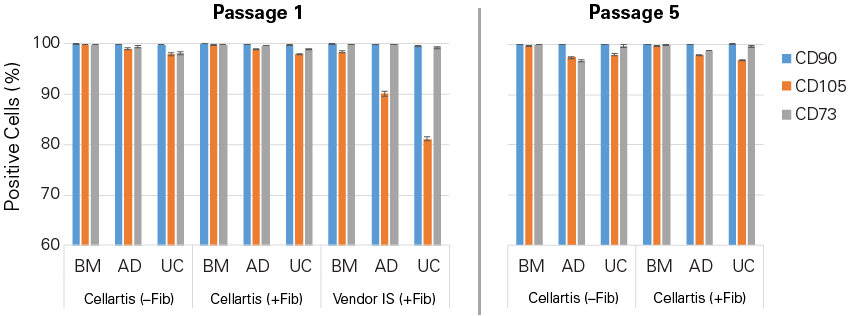 Cellartis xeno-free MSC medium maintains healthy MSC phenotype