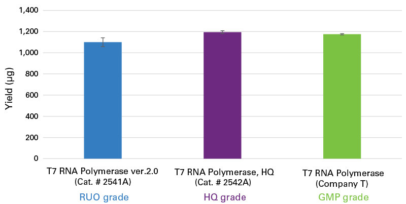 T7 RNA polymerase, HQ 