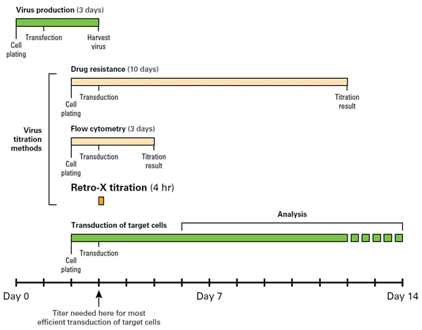 Lenti-X and Retro-X qRT-PCR titration kits offer the fastest titration methods