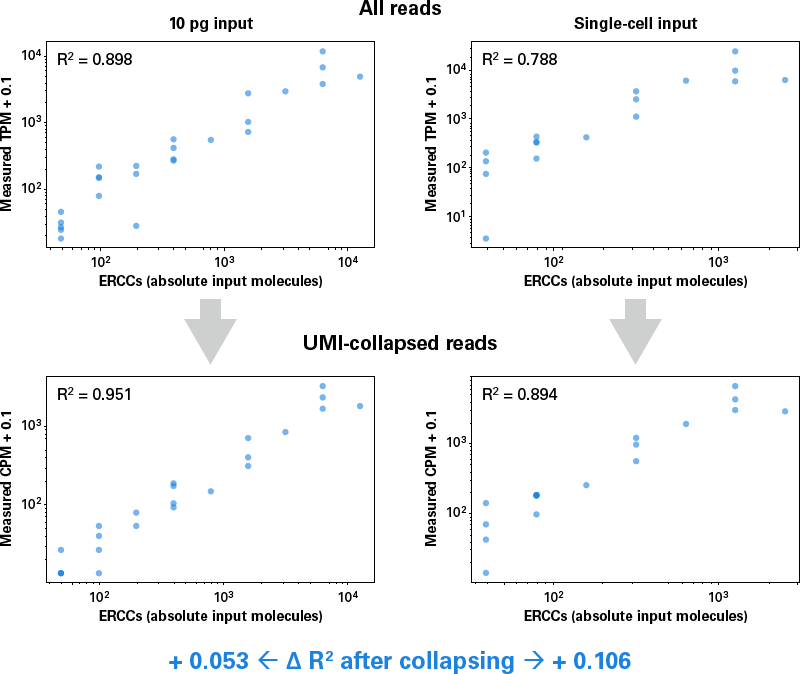 Increased accuracy for RNA counting with the use of UMIs