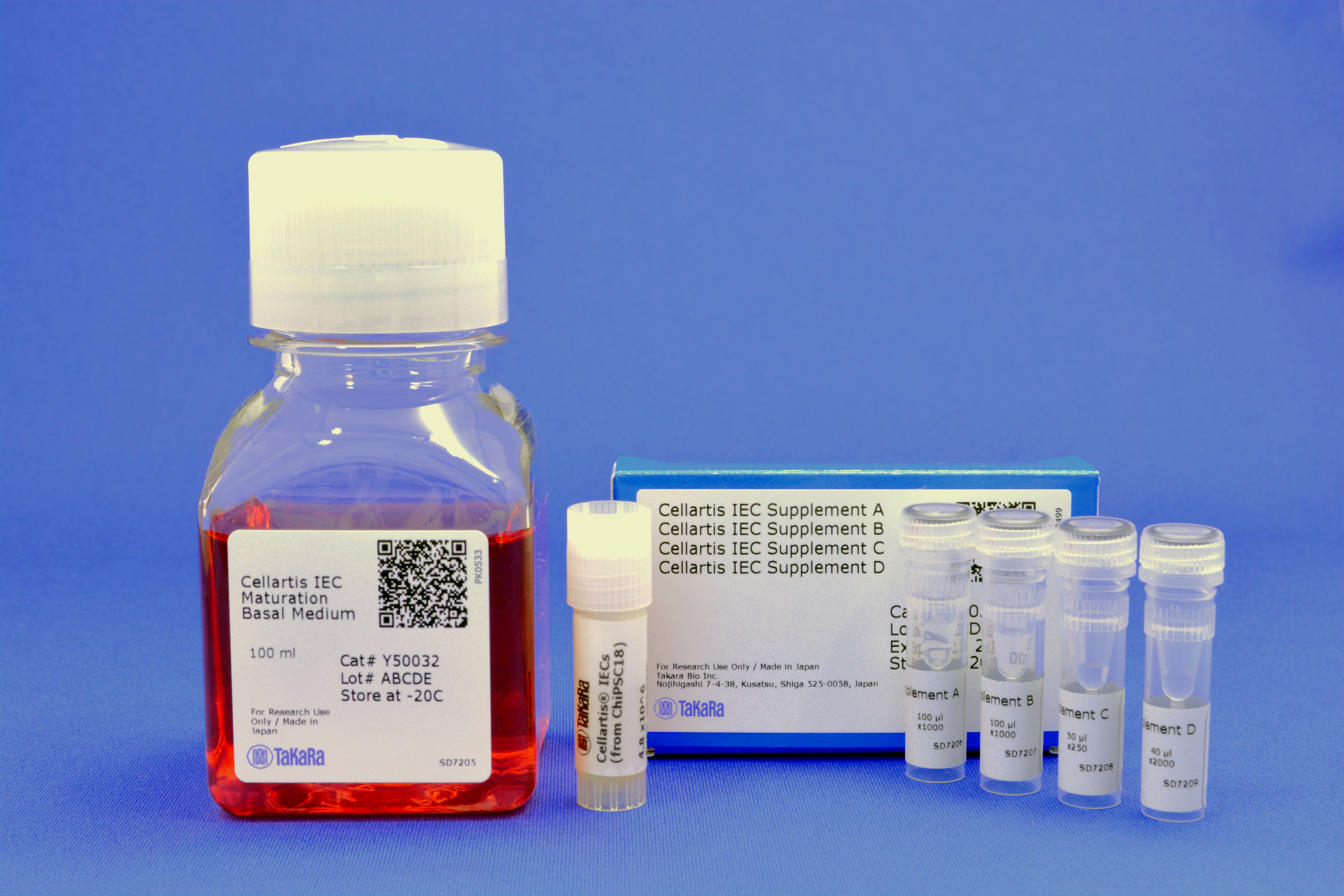 Components of the Cellartis Intestinal Epithelial Cells (from ChIPSC18) Kit